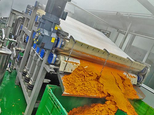 帶式果蔬壓榨機(jī)-山東濟(jì)南市胡蘿卜壓榨現(xiàn)場(chǎng)